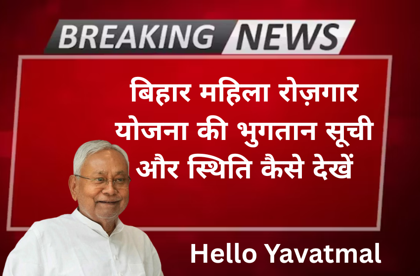 How To Check Status of Bihar Mahila Rojgar Yojana